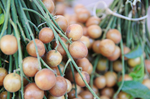 Hà Nội thơm ngon quất hồng bì - 2