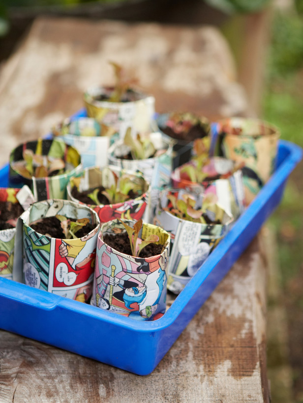 “Thiên biến vạn hóa” đồ vật quanh nhà để... gieo hạt, trồng cây - 1