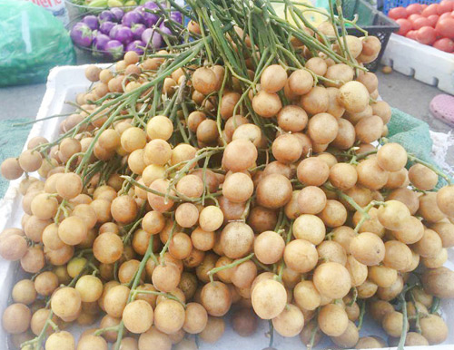 Hà Nội thơm ngon quất hồng bì - 3