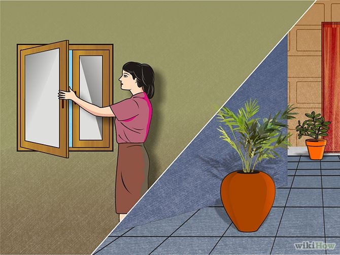 5 bí kíp giúp bạn detox thải độc cho cả nhà - 3