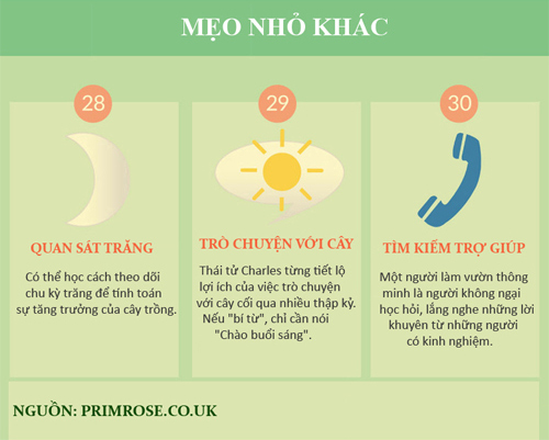30 mẹo vặt giúp bạn làm vườn “dễ thở” hơn (phần 2) - 5
