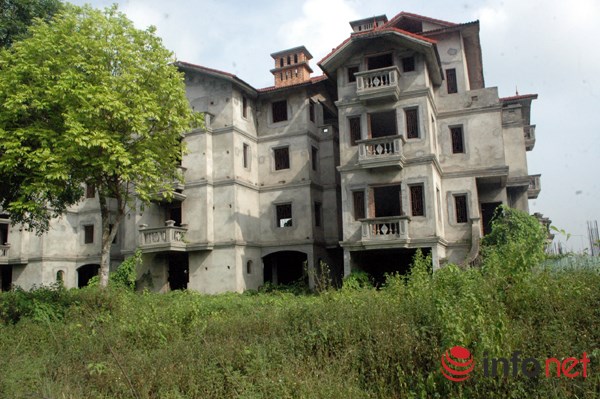 "Rừng tái sinh” bao phủ những ngôi biệt thự tiền tỷ ở Thủ đô - 9