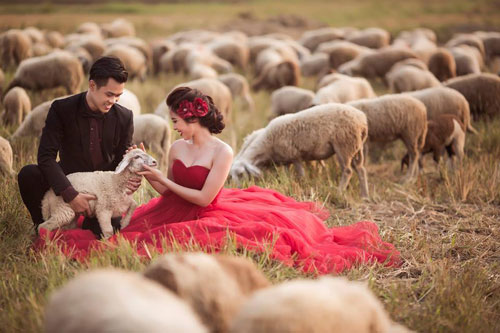 Chuyện tình của cặp đôi bao lần khóc vì nhau - 8