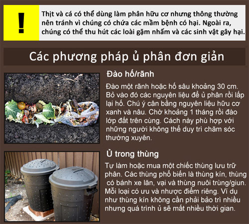 Tự làm phân hữu cơ từ rác thải trong nhà cho rau khỏe - 5