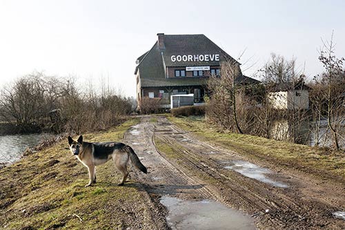 Cuộc sống phía sau của cặp vợ chồng là diễn viên phim cấp 3 - 2